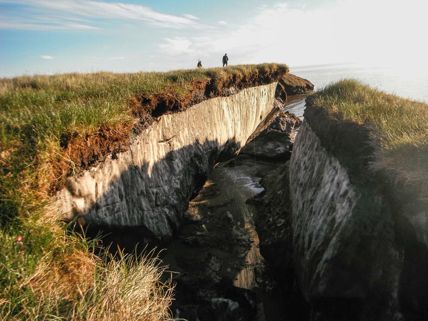 Arctic Coastal Plain in the Teshekpuk Lake Special Area of the National Petroleum Reserve