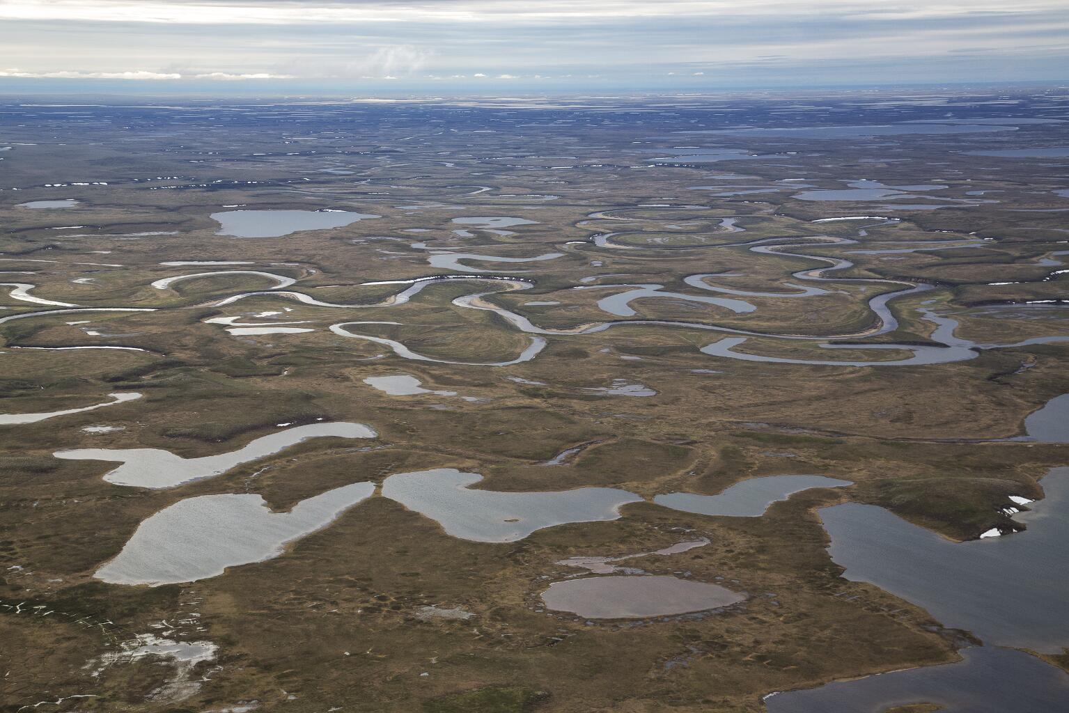 National Petroleum Reserve in Alaska