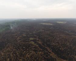 Moose Creek Fire, Denali National Park 2015