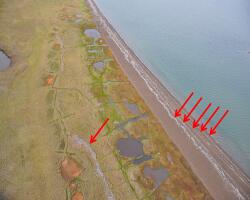 Log lines on Tigvariak Island, east of Prudhoe Bay