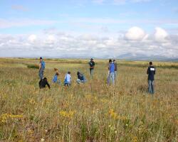 Harvesting berries at Camp Sivu near Kobuk Valley National Park