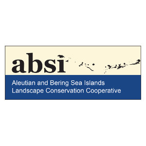 ABSI LCC Logo