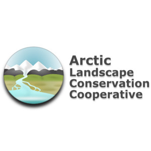 Arctic LCC Logo