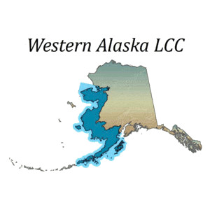 Western AK LCC Logo